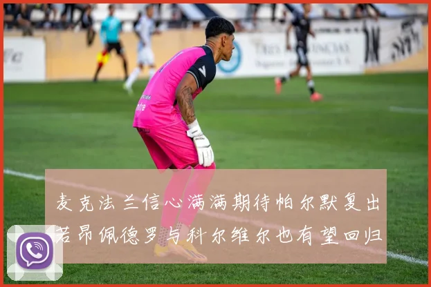 麦克法兰信心满满期待帕尔默复出若昂佩德罗与科尔维尔也有望回归